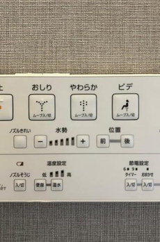 ブランシエスタ王子 