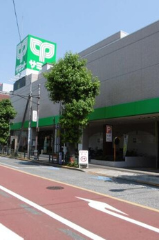 セレス代沢 