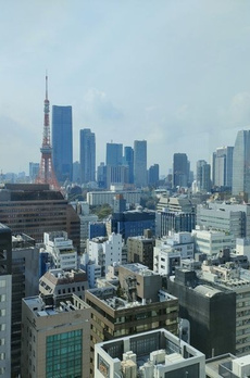 WORLD TOWER RESIDENCE 