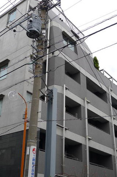 フェリーセ 