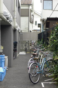 フェリーセ 
