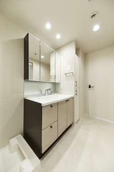 ロイジェント銀座 