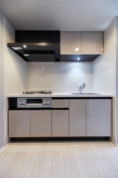 ロイジェント銀座 