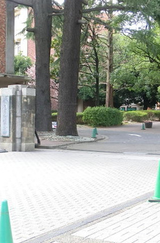 ツインパレス経堂 