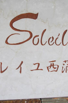 ソレイユ西蒲田 