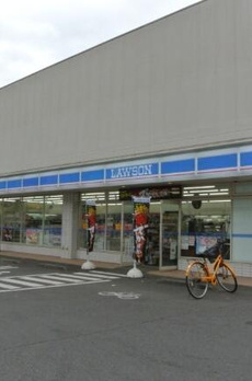 ソフィアコート扇 