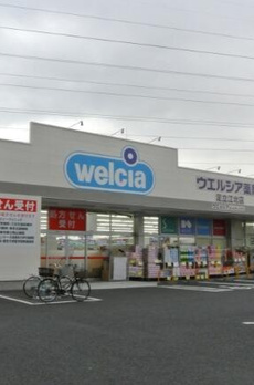 ソフィアコート扇 