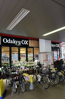 マーメゾン 