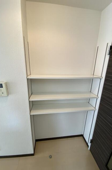 ルネス　ボストーク 