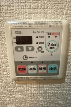 ルネス　ボストーク 