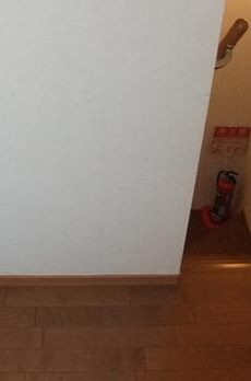 フェザンツ目白 