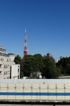 ＺＯＯＭ六本木 