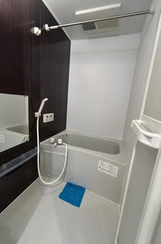 フェリオ岩本町 