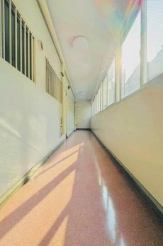 第２宮庭マンション 