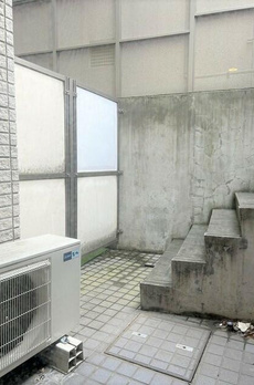 ＺＥＬ　ＣＯＵＲＴ　ＡＯＹＡＭＡ 