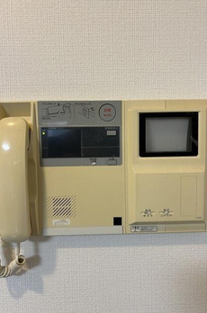 ＺＥＬ　ＣＯＵＲＴ　ＡＯＹＡＭＡ 