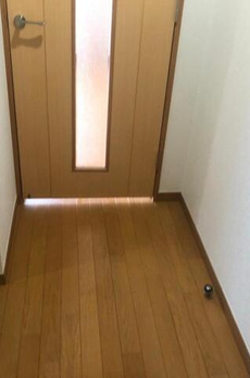 パレステュディオ白金 