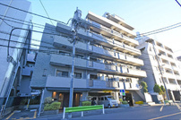 インプルーブ白金