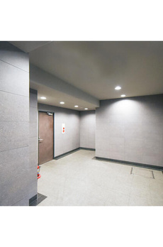 インプルーブ白金 