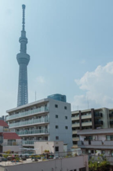 ＴＯＫＹＯ　ＦＬＡＴ 