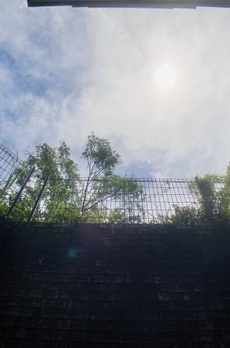 パークフロント大山 