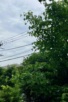 パークホームズ赤羽西 