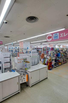 ハイネス北大塚 