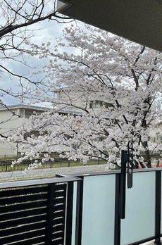 パークホームズ木場クリアテラス 