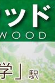 野沢ウッド 