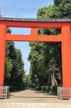 ルミエールレジデンス善福寺 