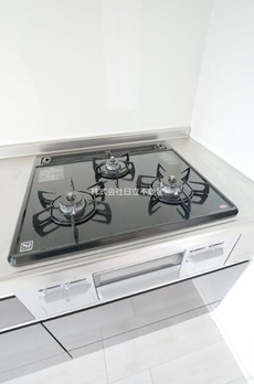 ヴィアローカス 