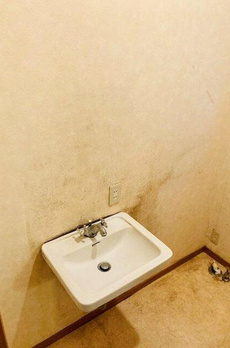 荻窪戸建 