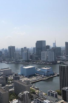 ＴＨＥ　ＴＯＫＹＯ　ＴＯＷＥＲＳ　シータワー 