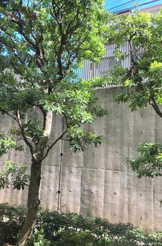 参宮橋マンション 