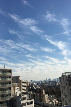 エアライズタワー 