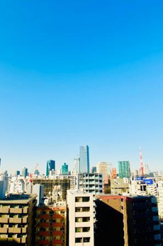 白金ザ・スカイ東棟 