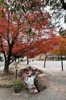 シティタワー銀座東 