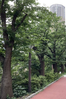 マーキュリー中目黒 周辺