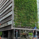 ＲＯＯＴｓ　Ｂｕｎｋｙｏ　Ｏｔｏｗａ 
