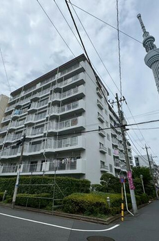 エクセレンス業平 