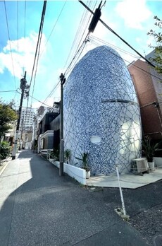 ナチュラルエリップス 