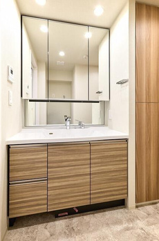 コンフォリア・リヴ西大島ＳＯＵＴＨ 