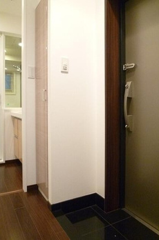 ＤＯＲＦ２１　ＳＵＭＩＫＡ 