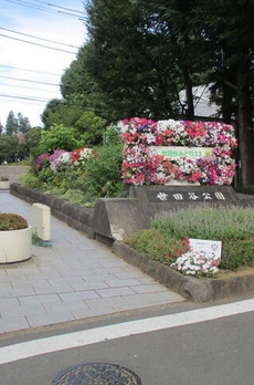 池尻パークマンション 
