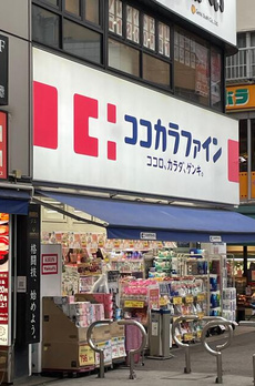 パインヴィレッジ 