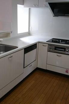 代々木一戸建（辻元邸） 