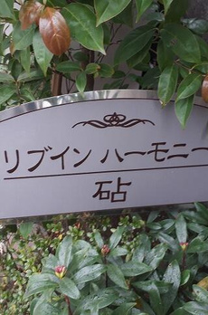 リブイン　ハーモニー　砧 