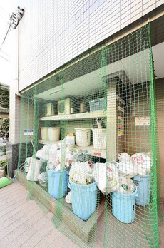 モンテ・オーロ 