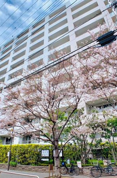 Ｂｒｉｌｌｉａ品川中延 