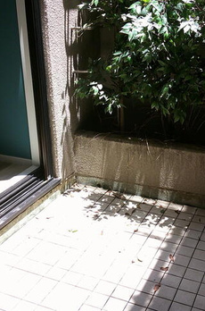 朝日サテライト六本木 